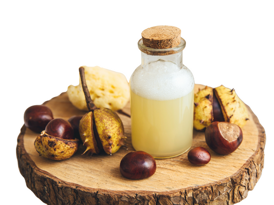 Saponins: Nature's Gentle Cleansers in Moroccan Beauty Rituals