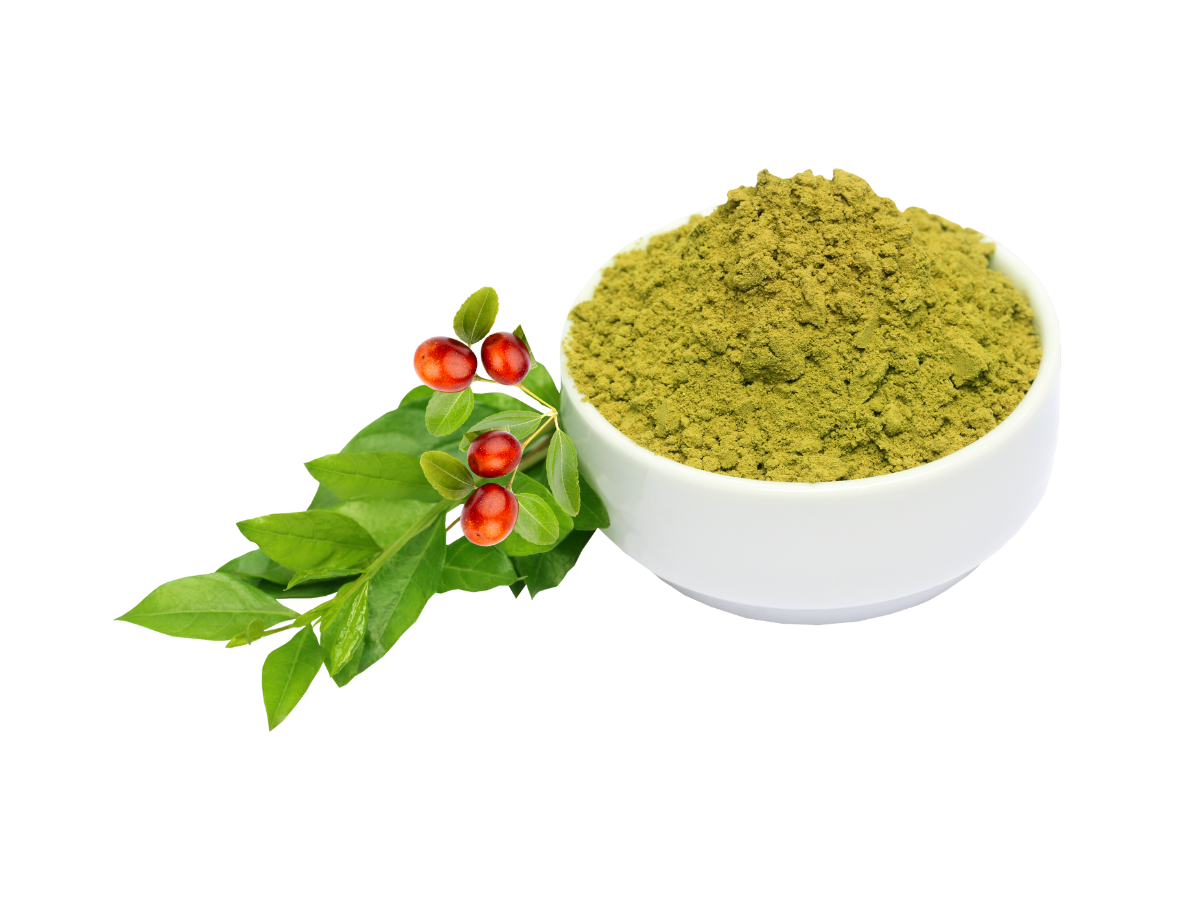 Guide to use Ziziphus (Sidr): A Natural Treasure for Hair and Skin